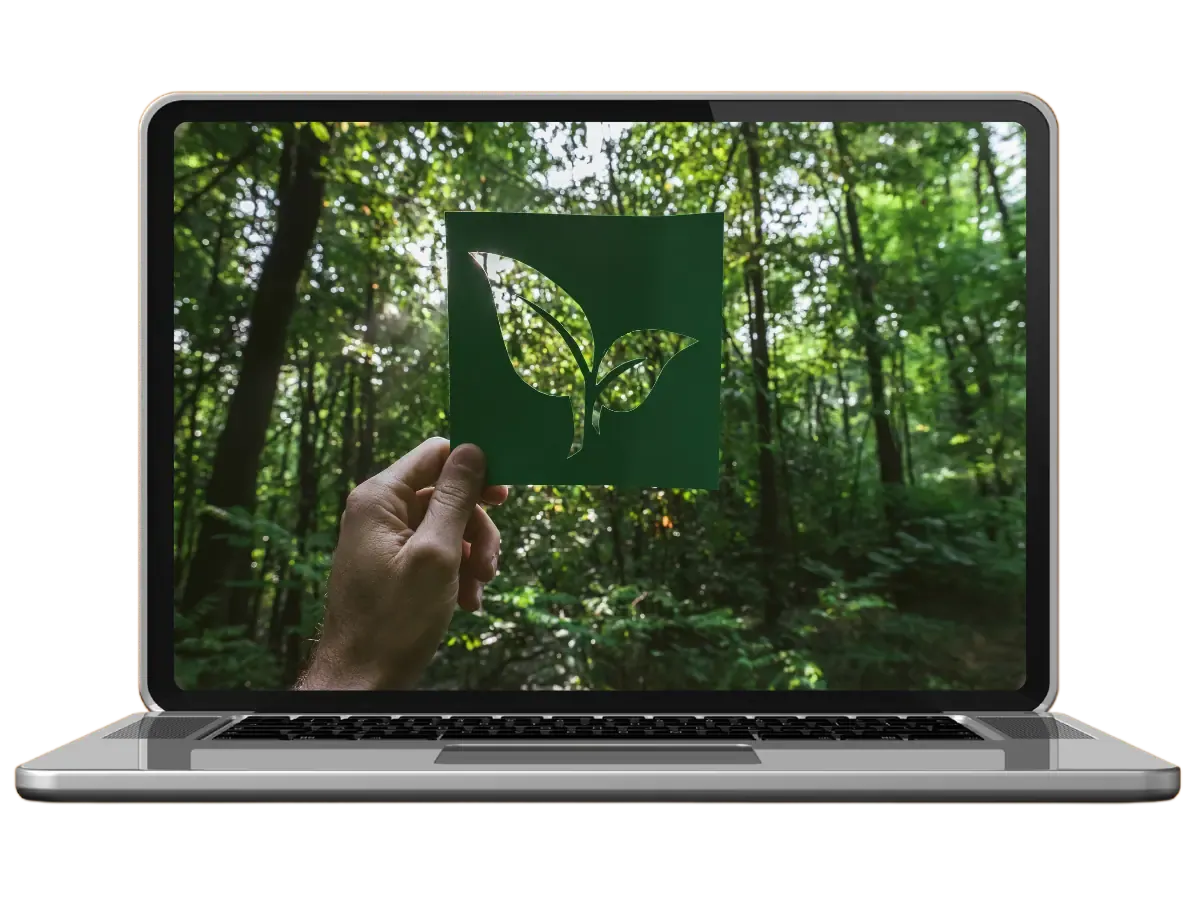 green website website design agency